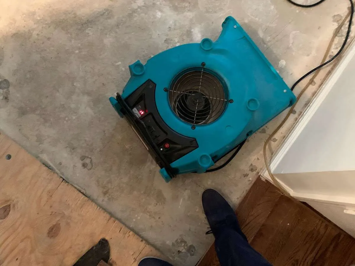 Air mover drying subfloor during Leak Detection & Repair in Collinsville